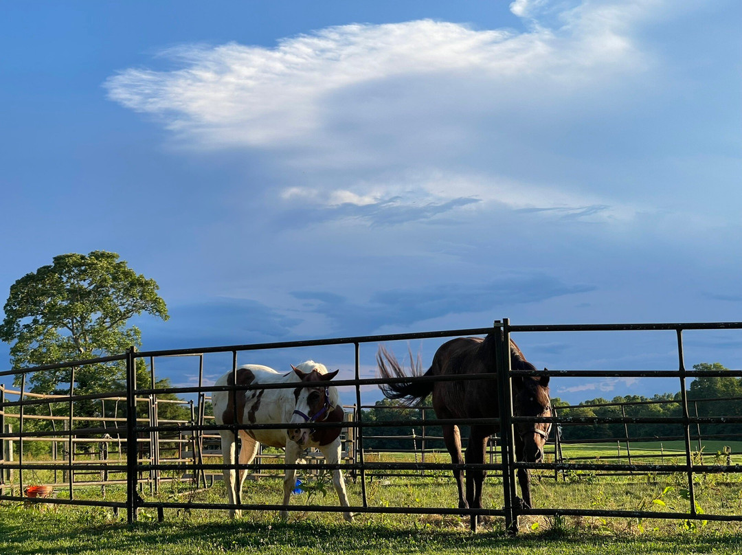 Zenith Stables & Campground
