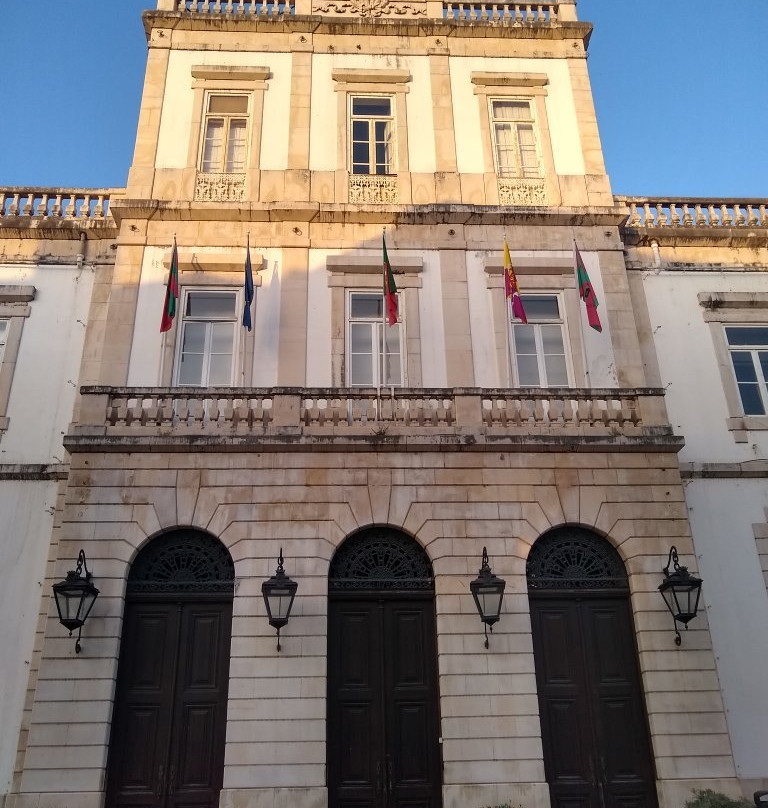 Câmara Municipal de Coimbra景点图片