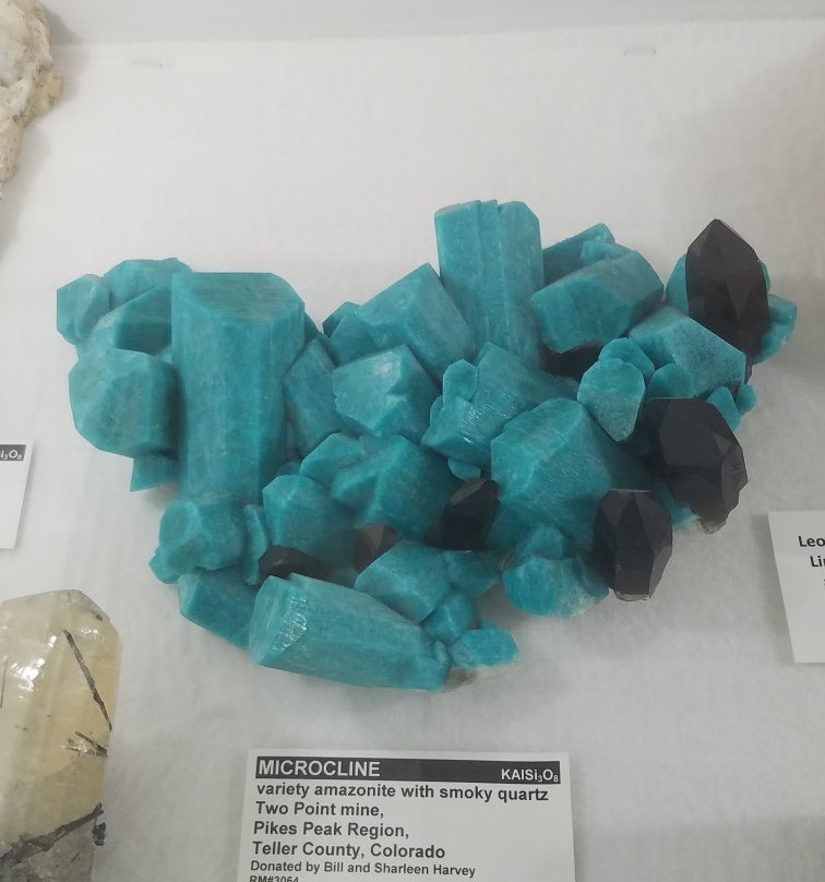 Rice NW Museum of Rocks and Minerals-希尔斯伯勒必去景点