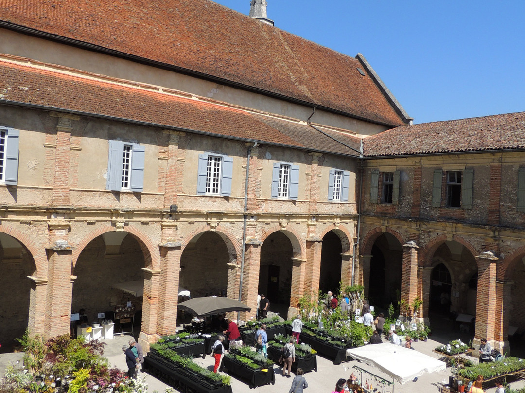 Couvent des Jacobins景点图片