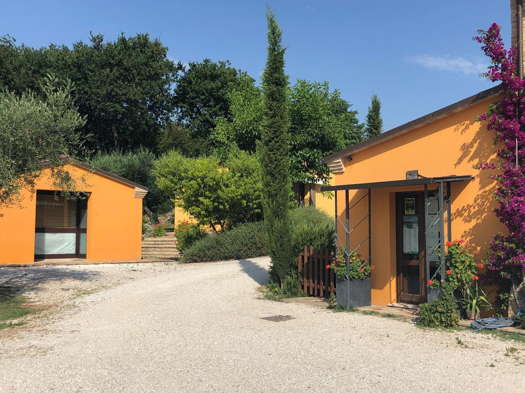 Agriturismo Il Vecchio Scornabecco主图