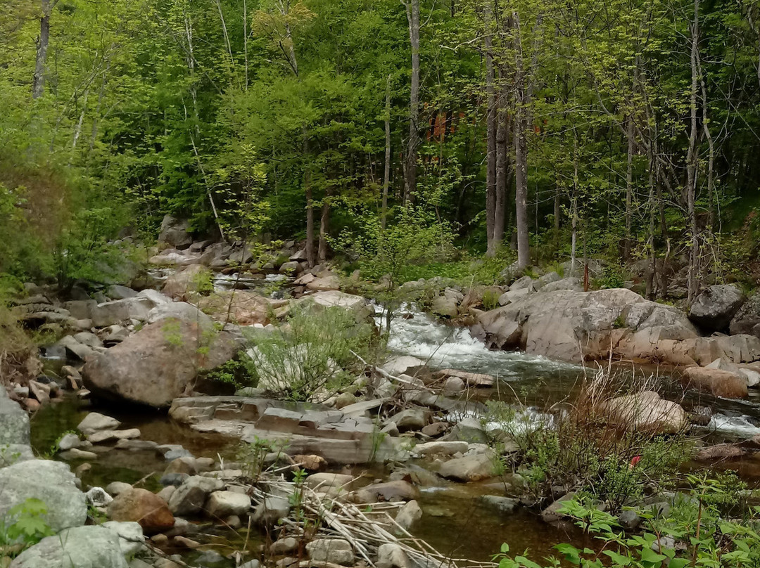 Jackson Falls-杰克逊必去景点