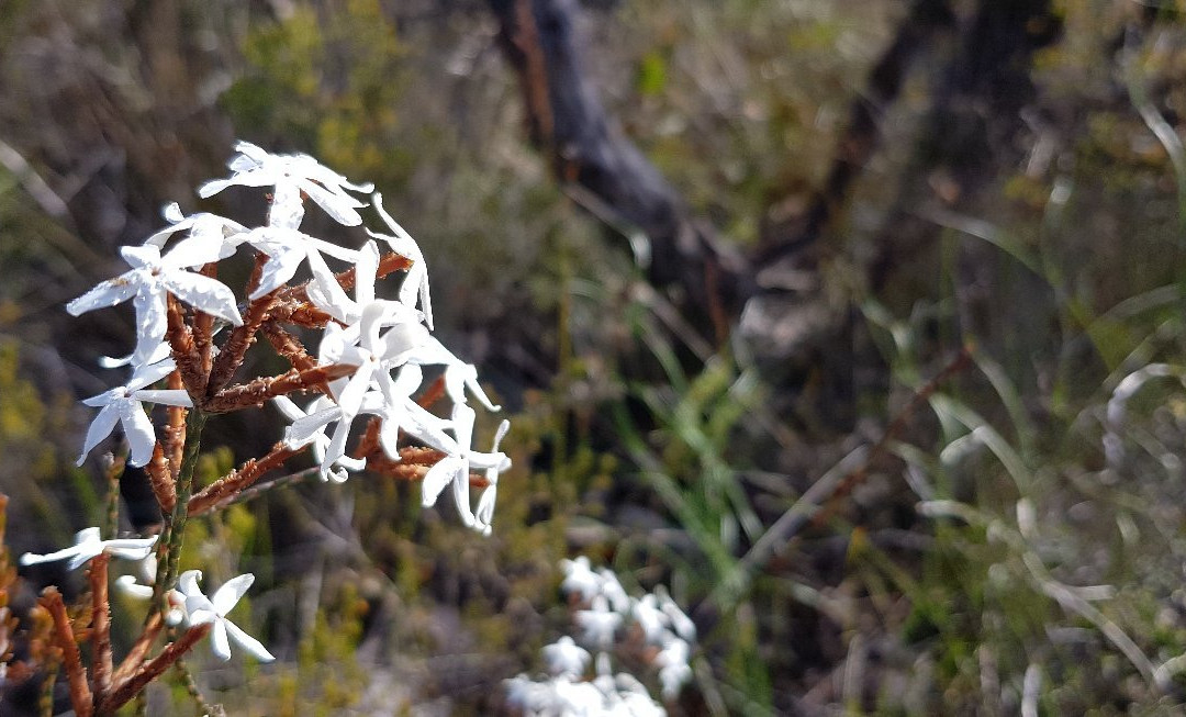 Mt Hassell-Stirling Range National Park必去景点