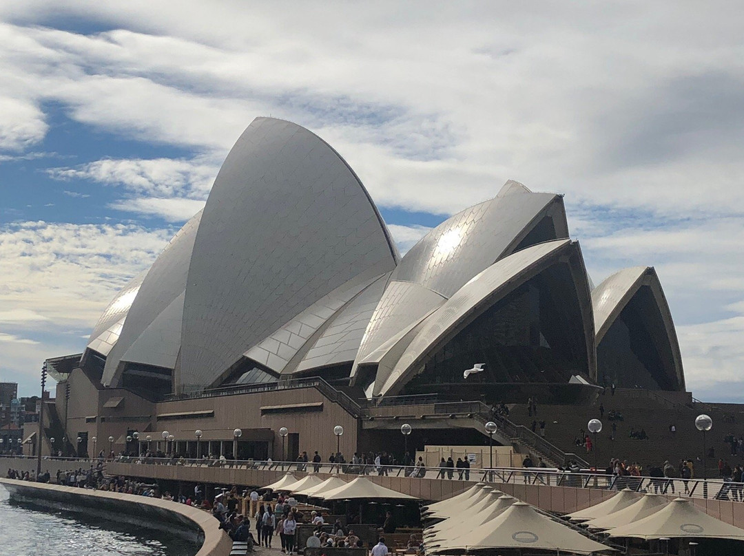 悉尼海港露天歌剧节景点图片