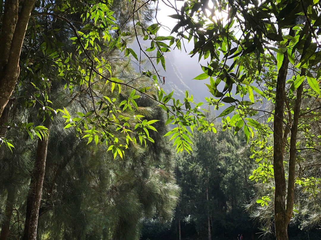 Foret de Bois Blanc景点图片