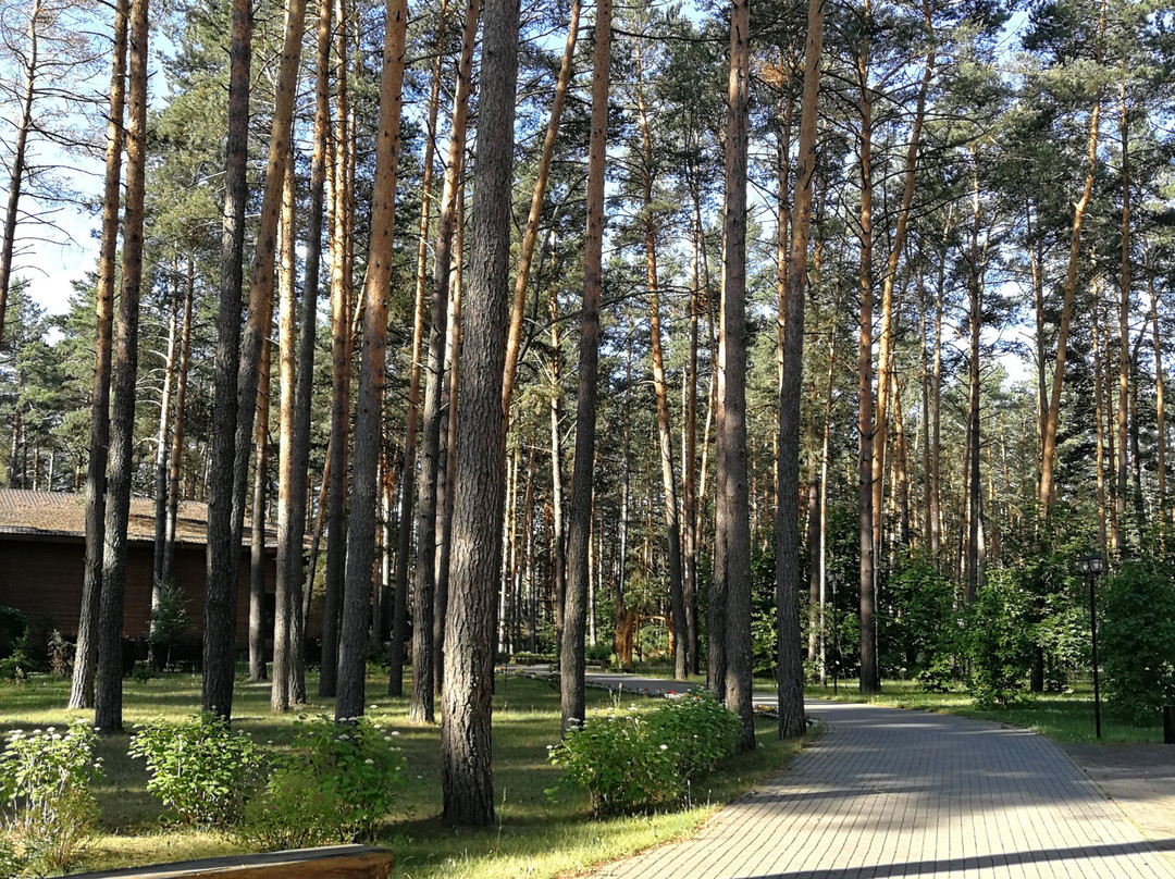 Eco Hotel VeLes主图