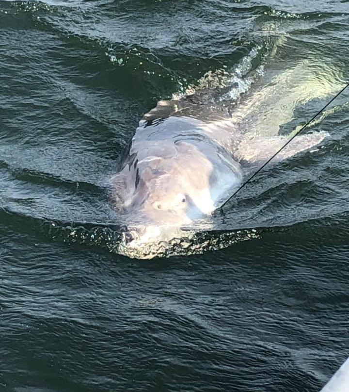 NW Sturgeon Adventures-Estacada必去景点