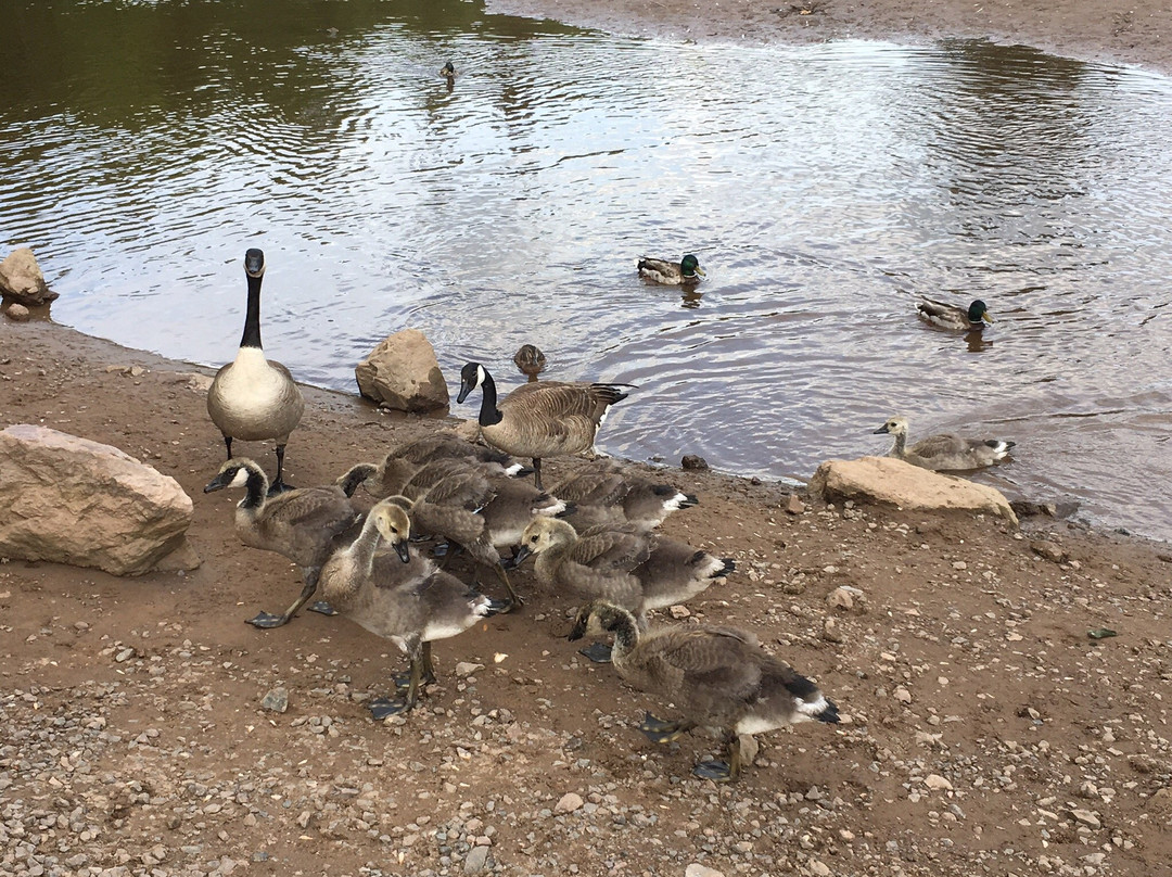 Centennial Park-蒙古顿必去景点