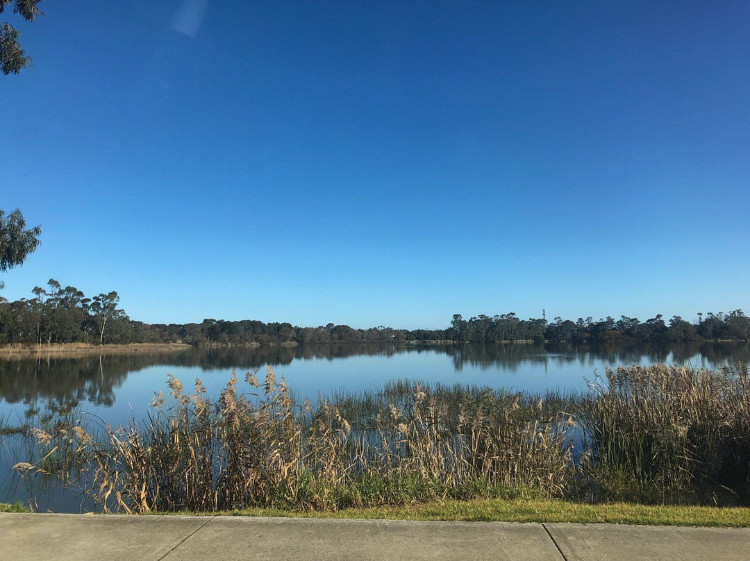 Lake Guthridge-塞尔必去景点