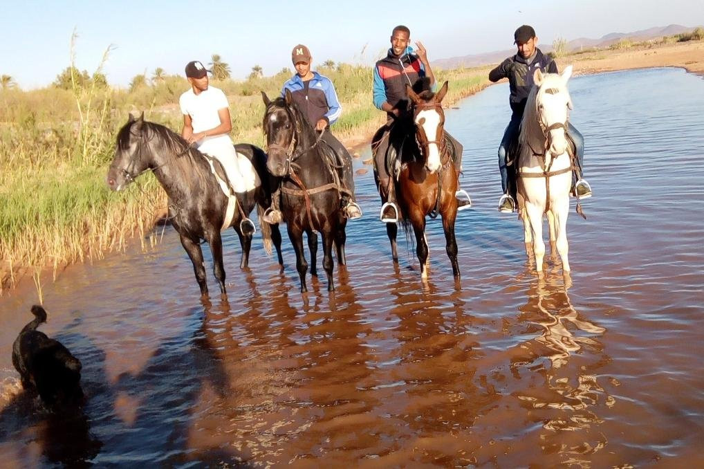 Atlasupcreative-瓦尔扎扎特必去景点