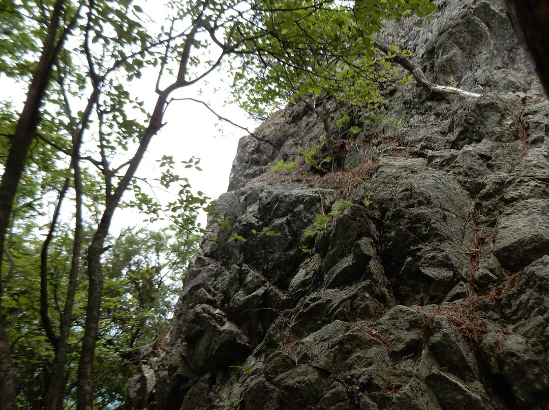 Mt. Shiraga-丹波篠山必去景点