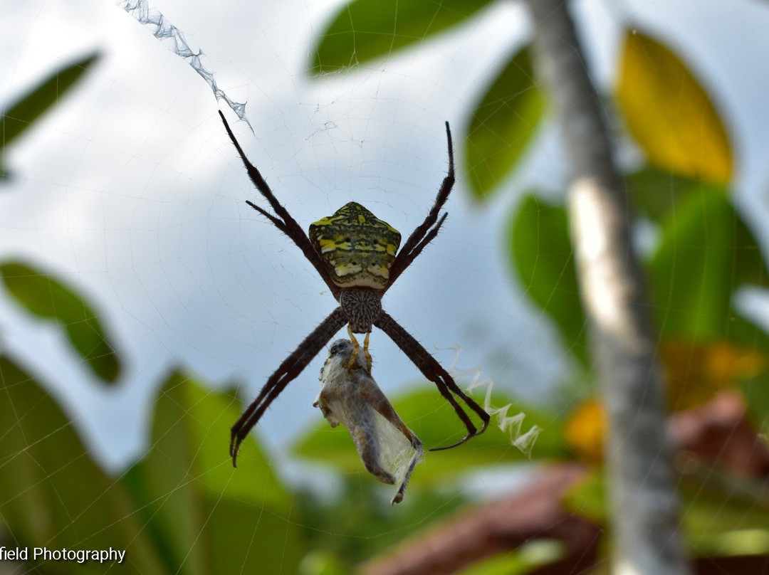 Rumah Dharma 2 Riverside主图