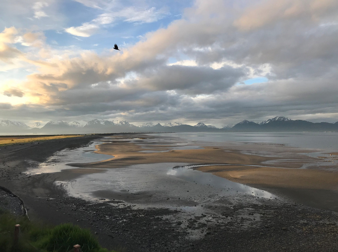 Homer Ocean House Inn Hotel And Condos主图