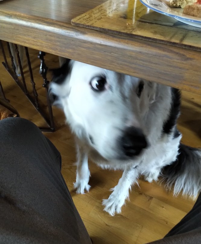 Guesthouse Heba主图