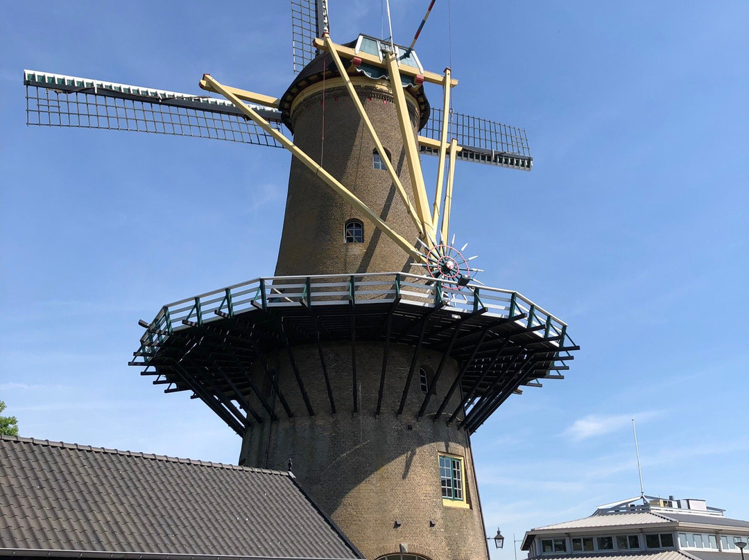 Korenmolen De Hoop景点图片