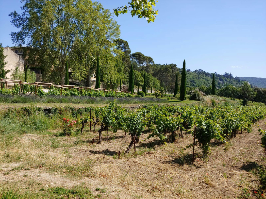 Chateau la Canorgue-Bonnieux必去景点