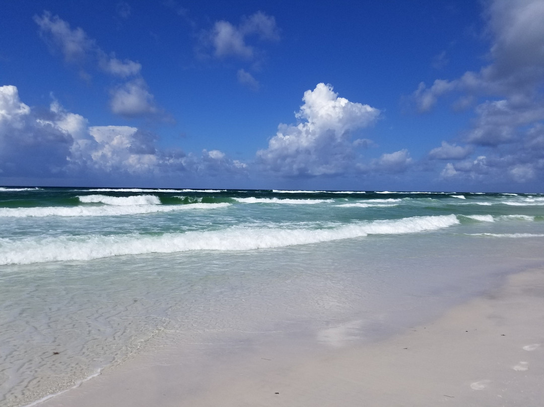 Hibiscus Guesthouse主图