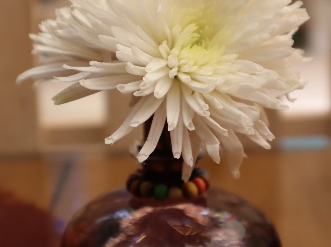 Shahbaz Traditional Hotel主图