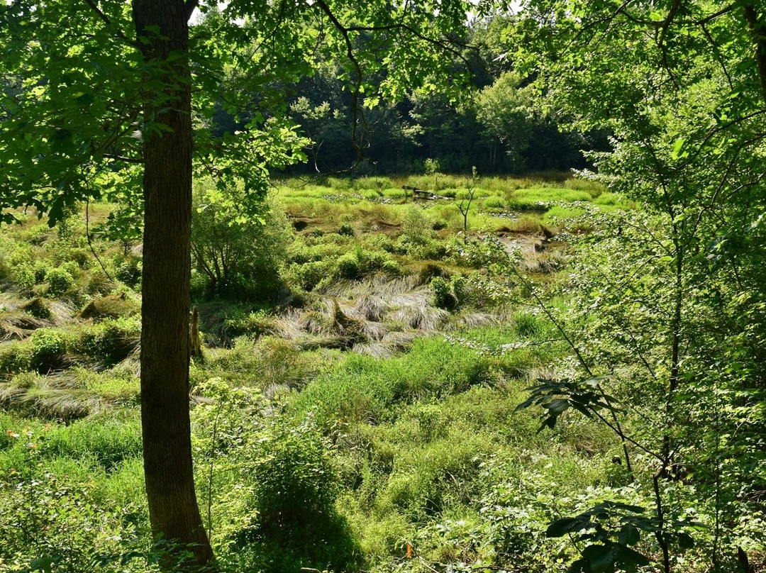 2023年11月Turnipseed Nature Preserve景点攻略Turnipseed Nature Preserve门票预订