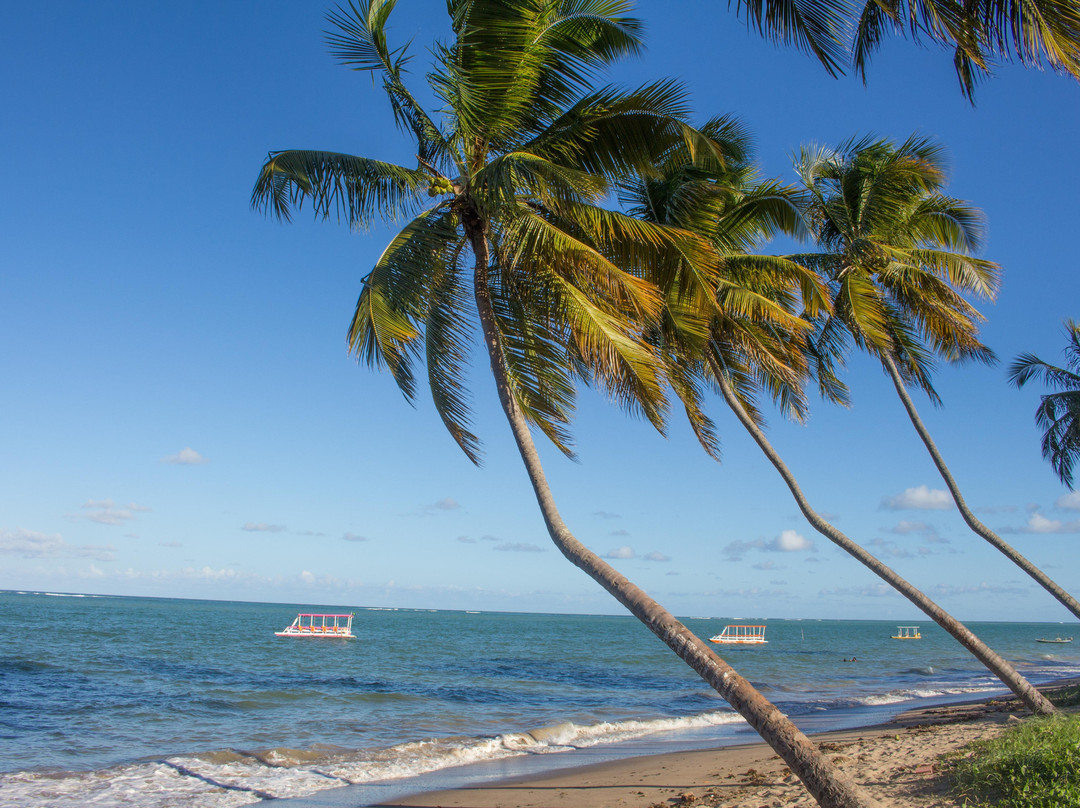 Milagres do Patacho Turismo e Receptivo