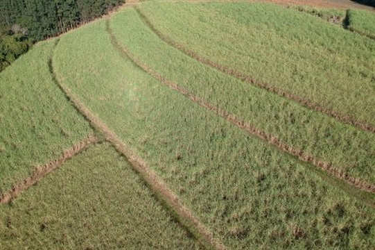 Alambique JP-伊图佩瓦必去景点