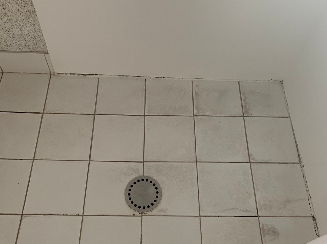 Takapuna International Motor Lodge主图