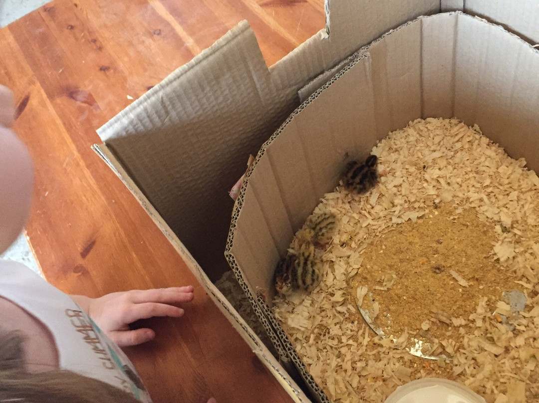 Birba Ranch-Tregasio必去景点