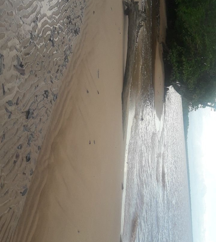 Essequibo River景点图片