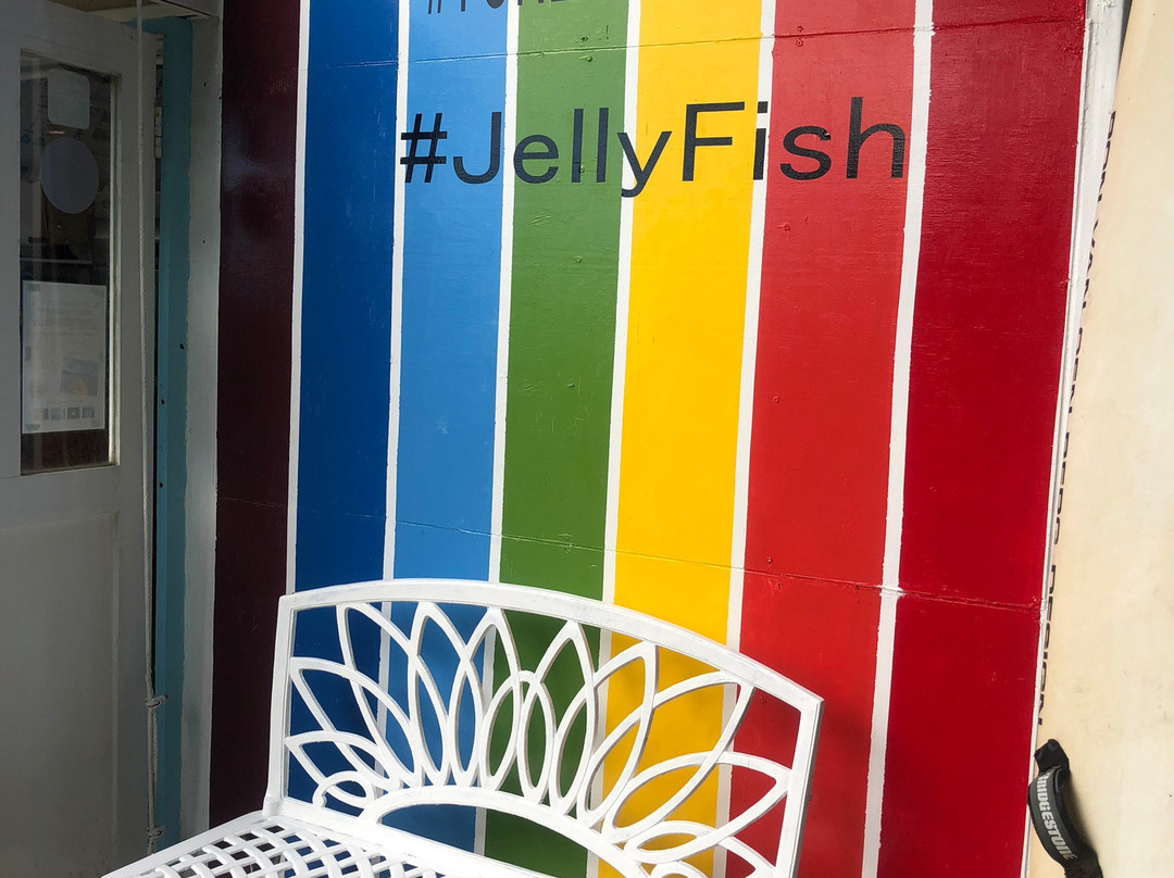 JellyFish景点图片