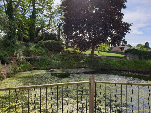 Alberbury旅游攻略图片