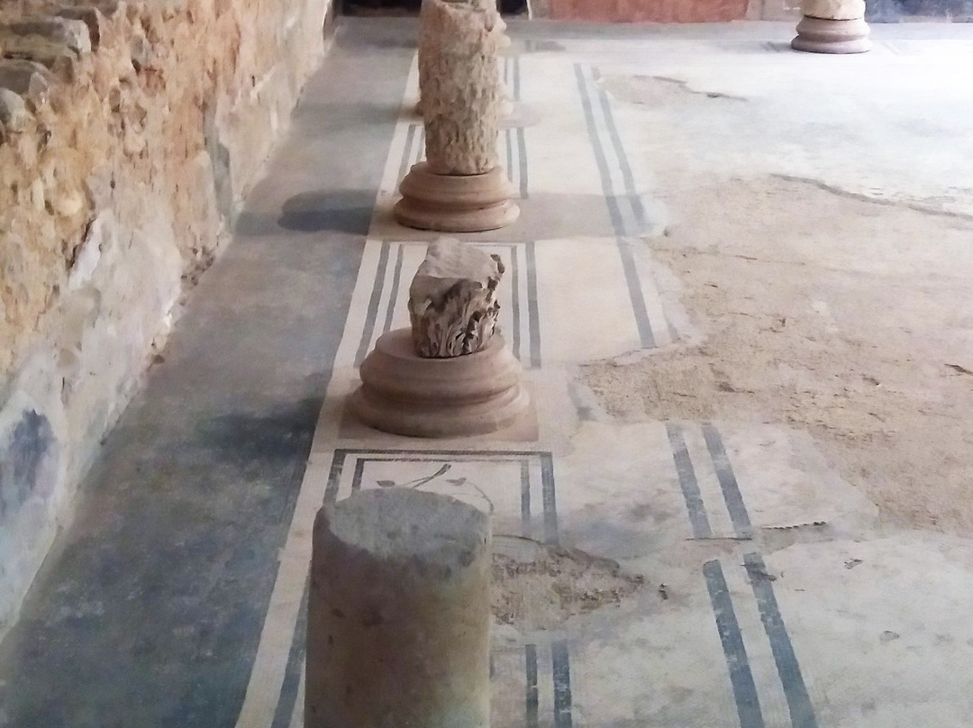 Villa Romana di Valdonega景点图片