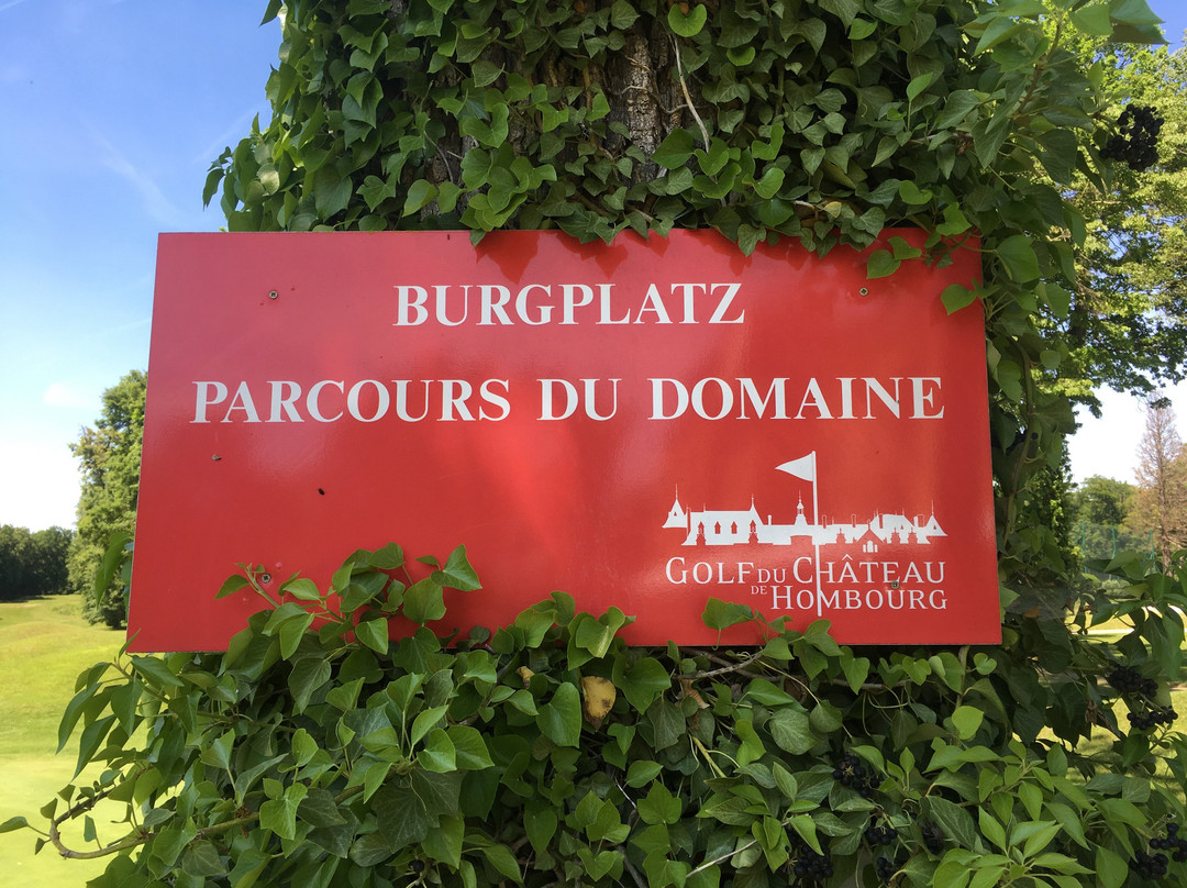 Golf du Château de Hombourg景点图片