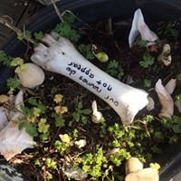 Rural Oklahoma Museum of Poetry-Locust Grove必去景点