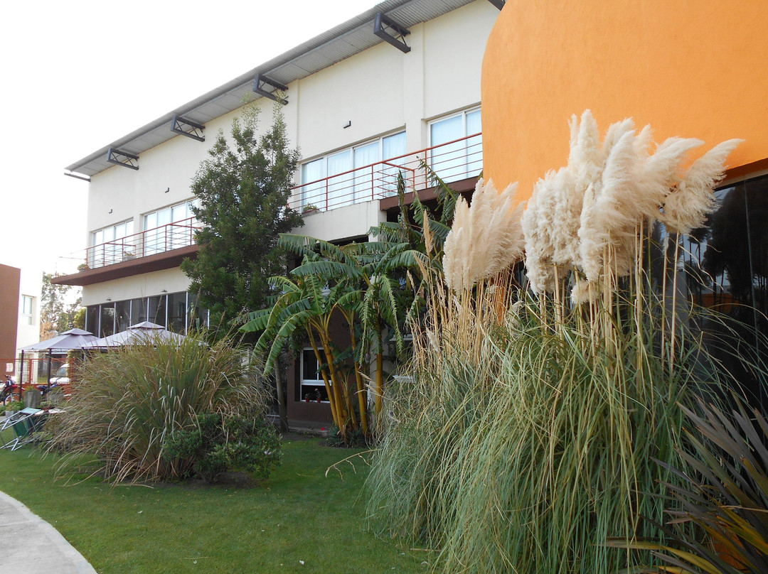 Alto Miramar Resort & Spa主图