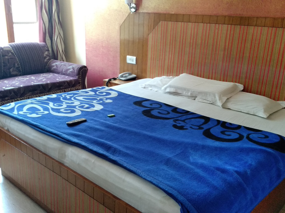 Hotel King Palace Shimla主图