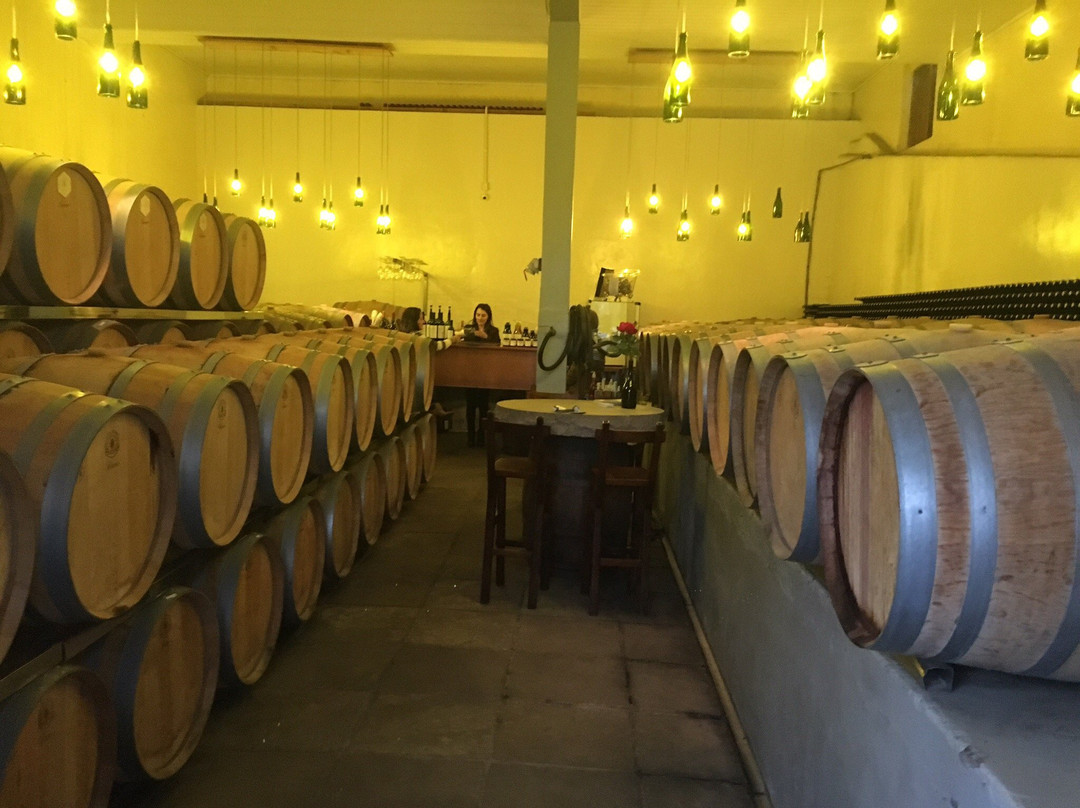 Vinícola Terragnolo-本图贡萨尔维斯必去景点