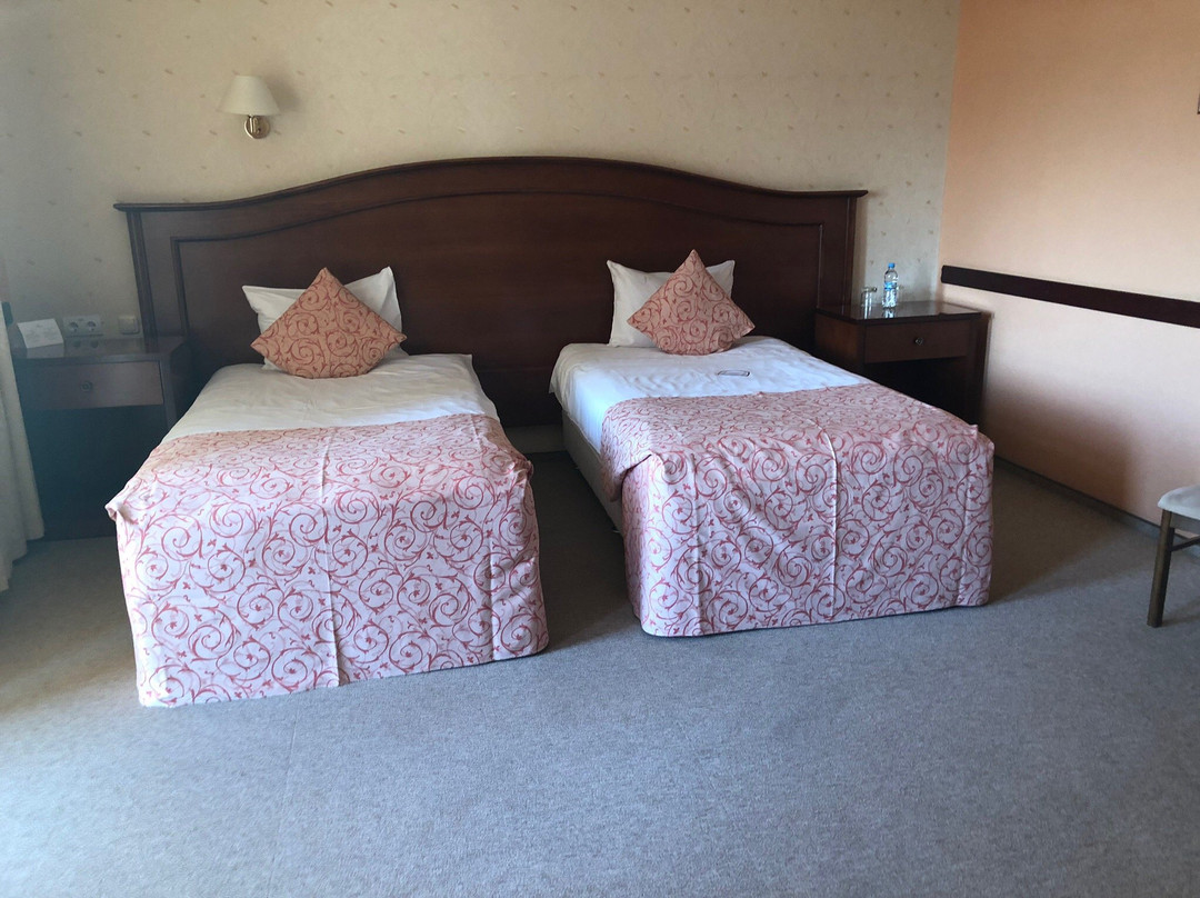 Premier Hotel Shafran主图