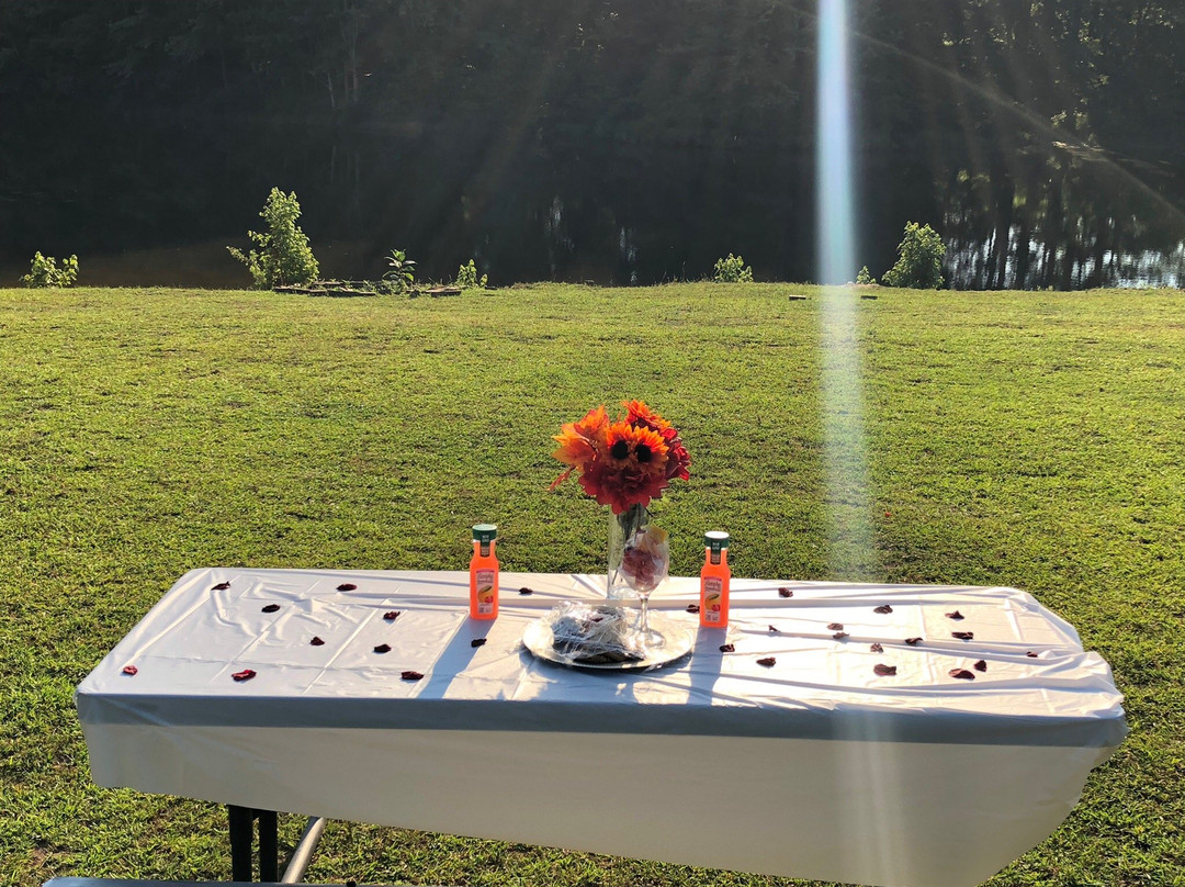 Pure Horse Play-Griffin必去景点