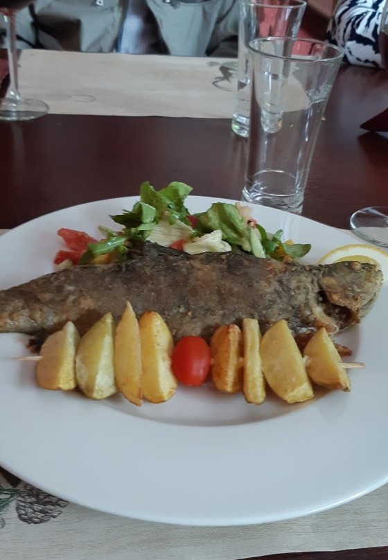 Hotel i Restauracja Zloty Las主图