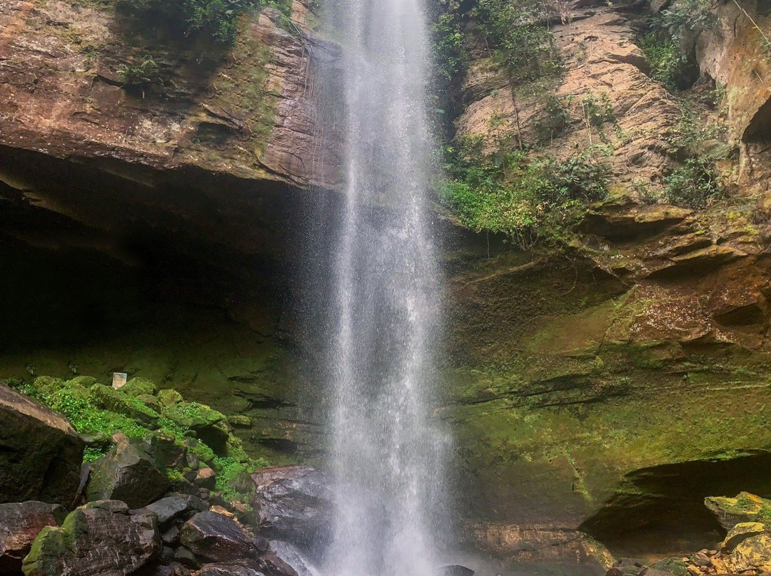 Roncador Waterfall景点图片