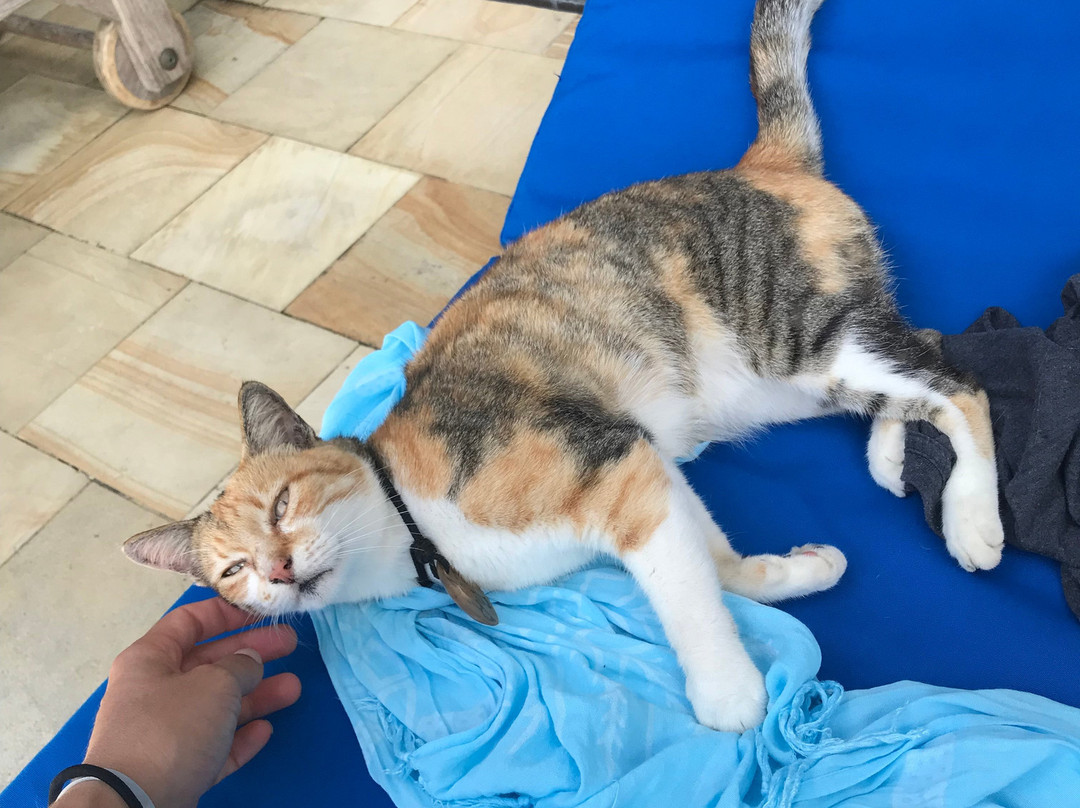 鳐鱼湾度假村主图