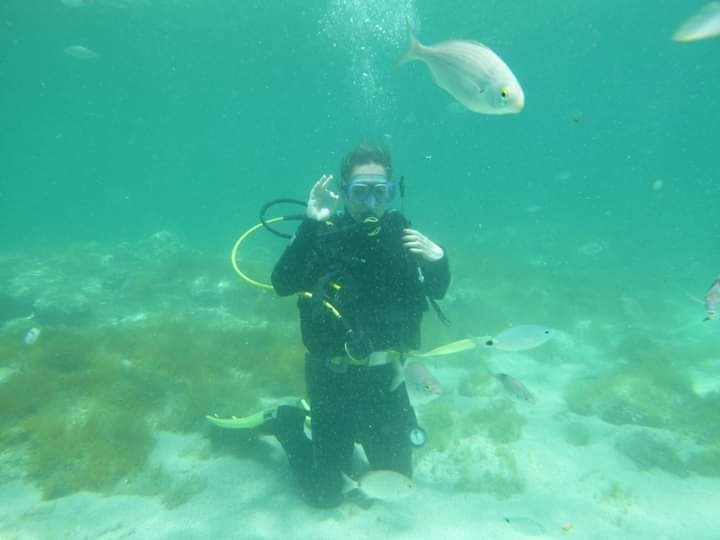 Diver to Diver景点图片