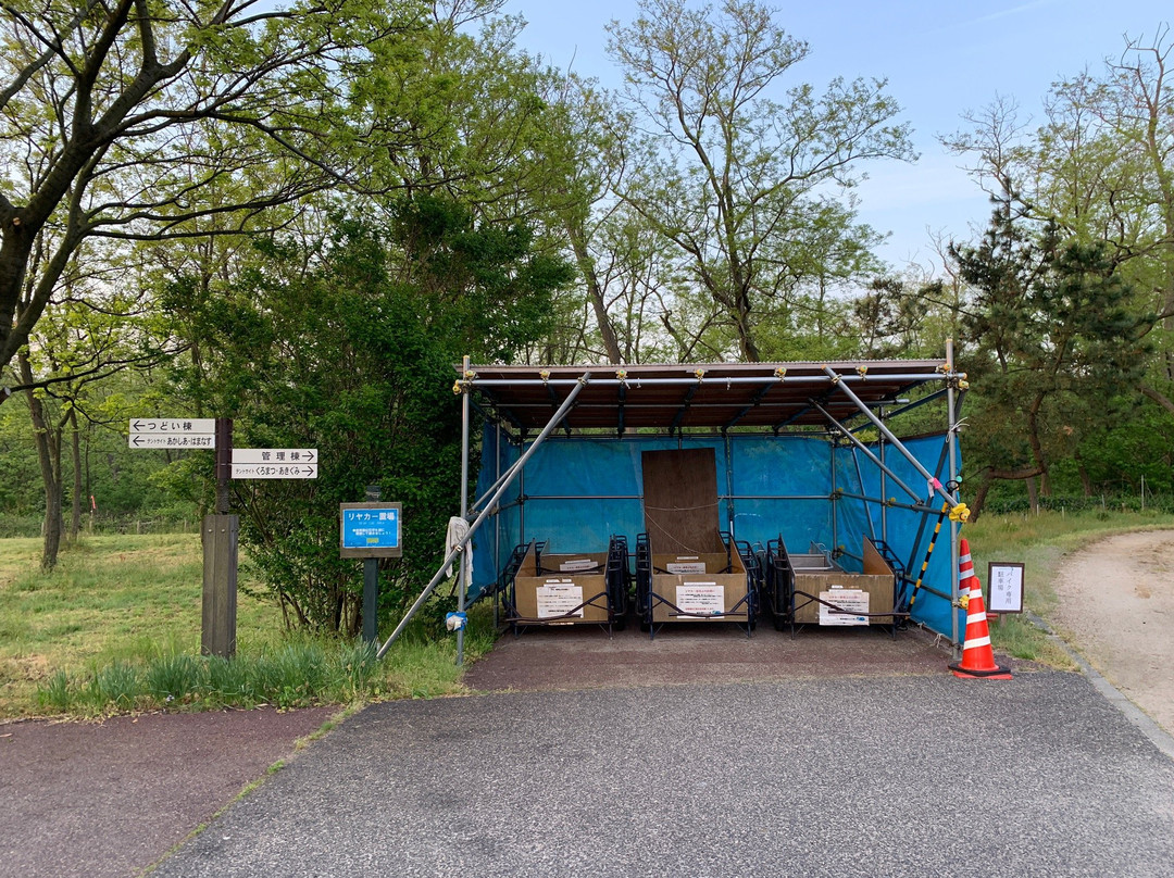 Umibenomori Campsite主图