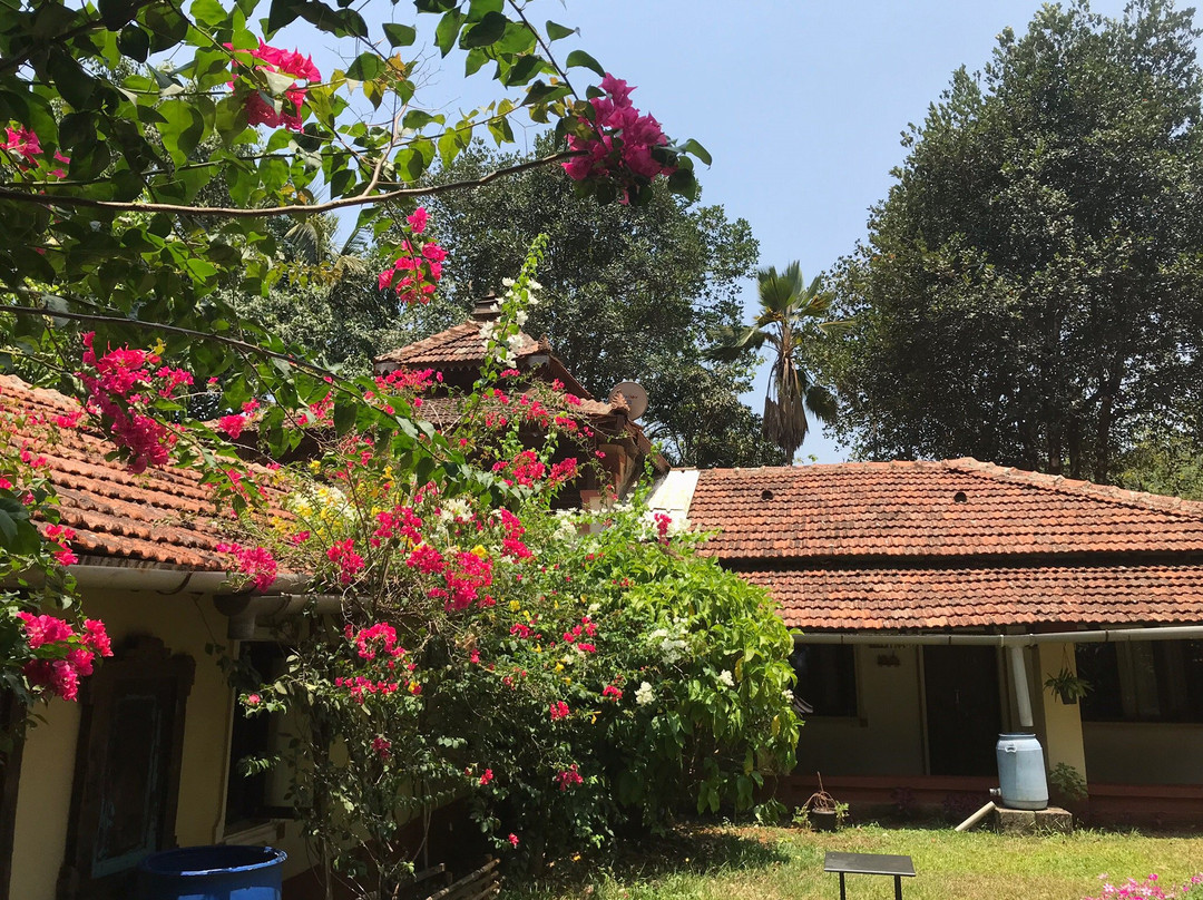 Mangaal Farmstay主图