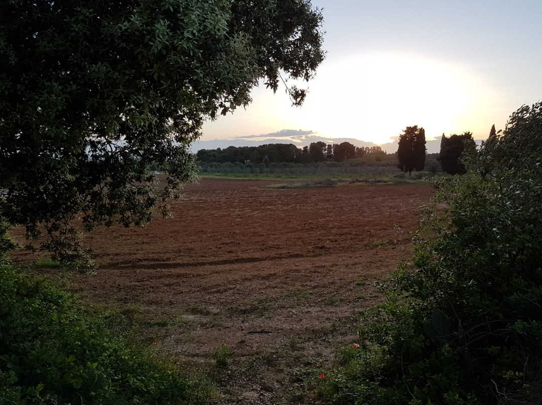 Bio Agriturismo Lu Panaru主图