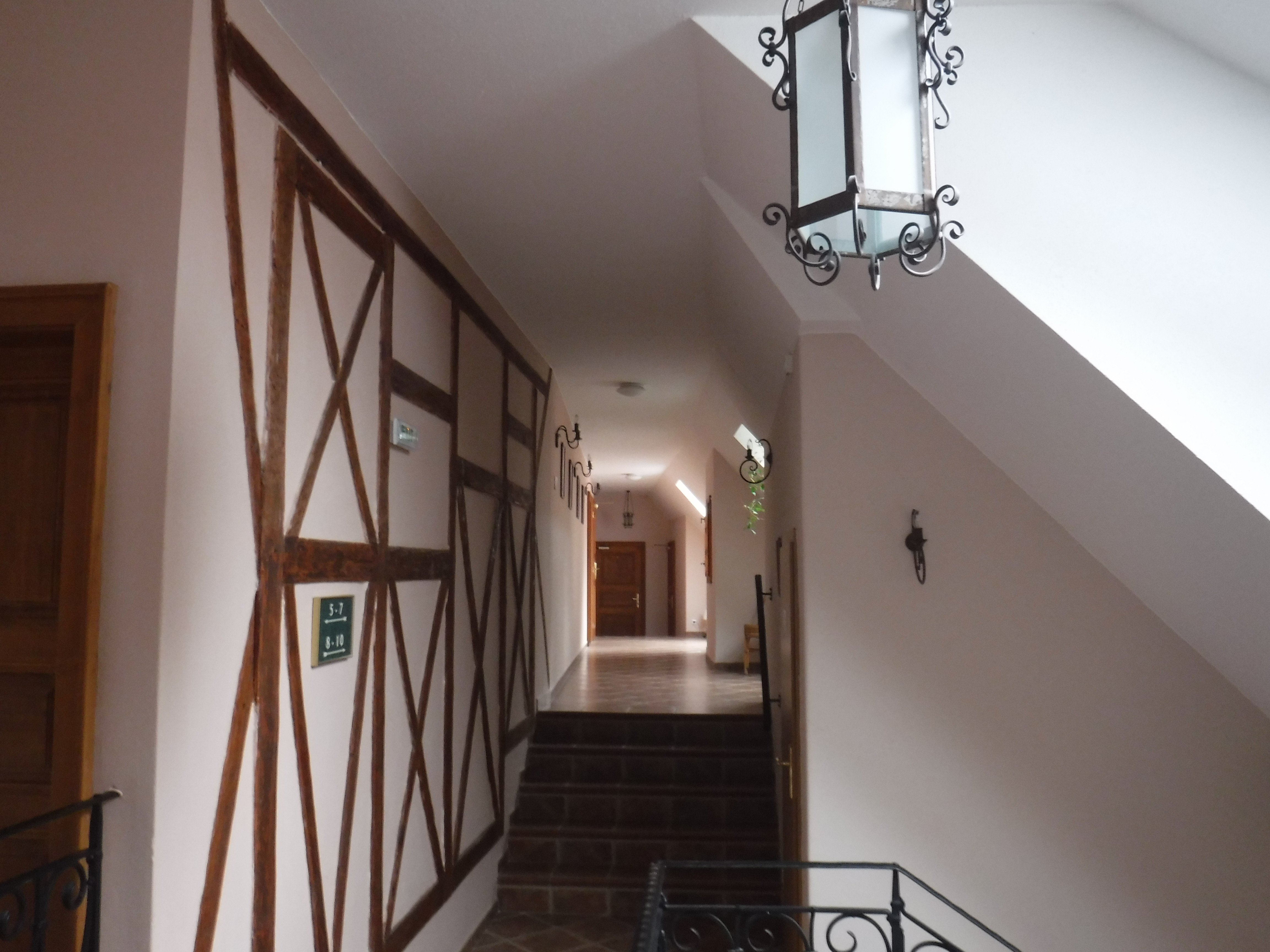 Hotel U Zlateho lva-浴室