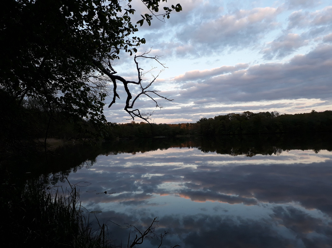 Pension Buntspecht主图