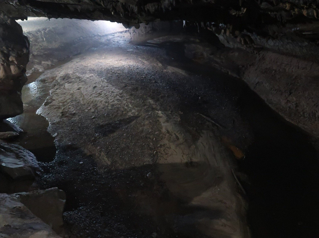 Dragon Cave景点图片