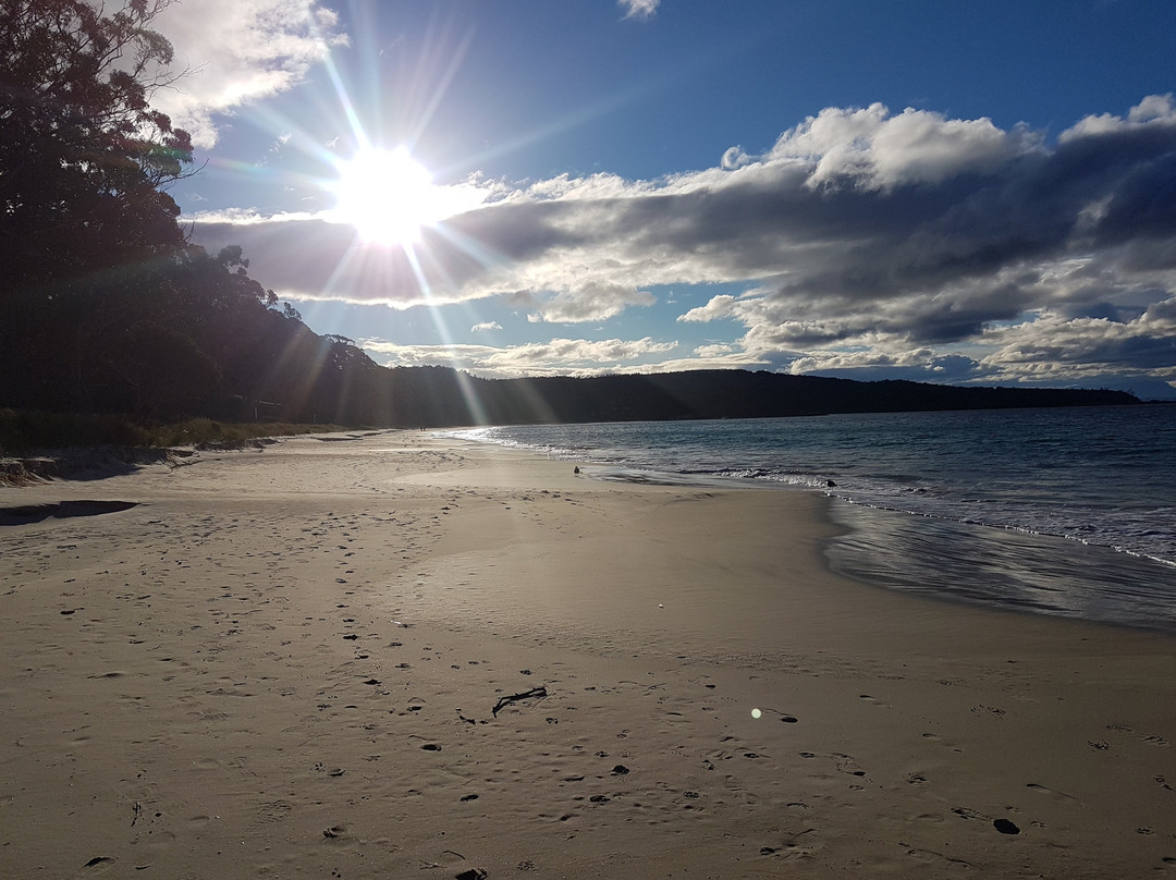 Bruny Island Experience主图