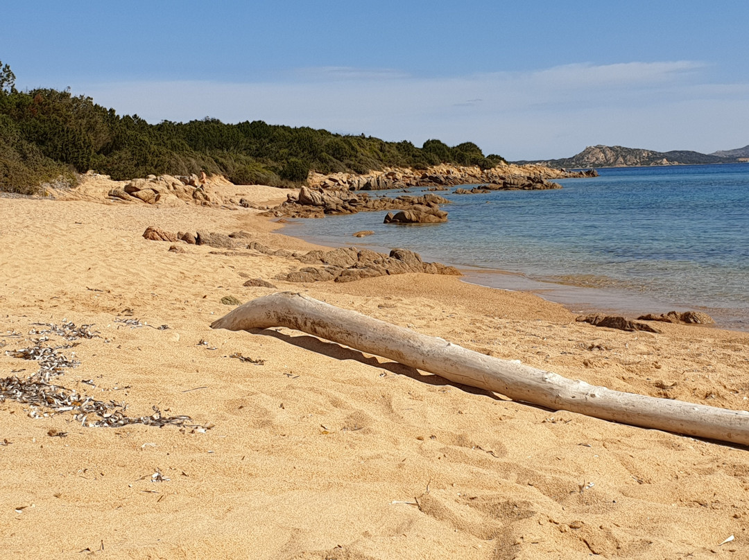 Spiaggia Le Piscine景点图片